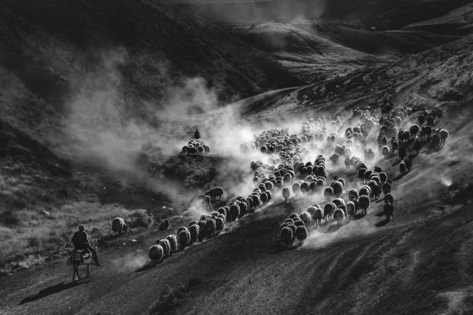 22113-282-tfsf-Eqc4F