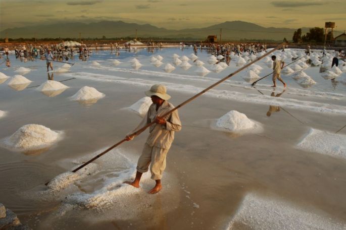 33391-282-tfsf-NjBFp