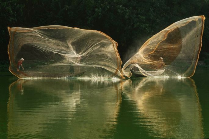 33391-282-tfsf-zBV8y