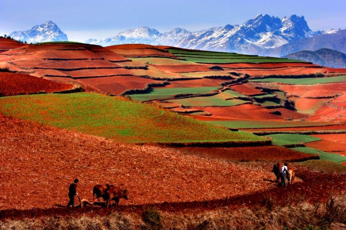 36026-282-tfsf-mKUOz