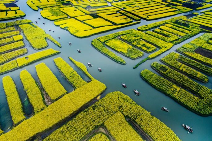 36768-282-tfsf-JBpcS