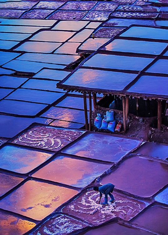 36768-282-tfsf-ztFOS