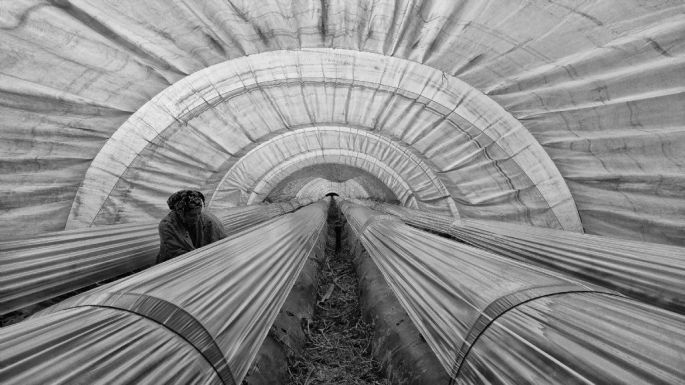 43170-282-tfsf-gyTEK