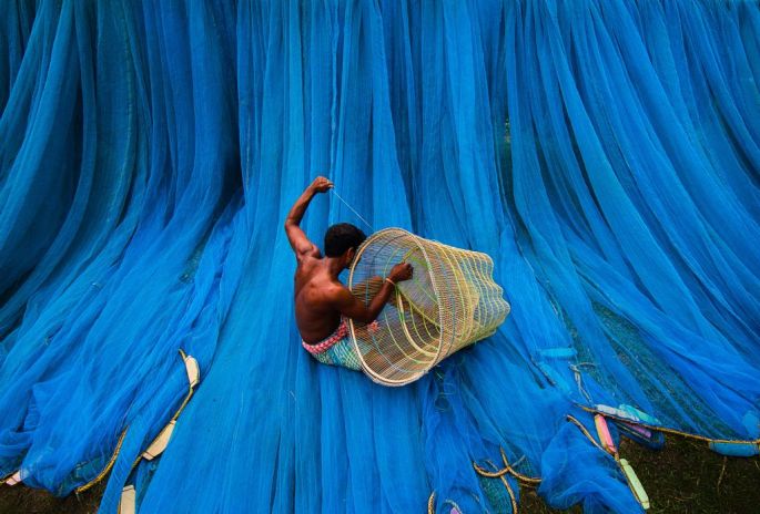 43942-282-tfsf-RfplZ