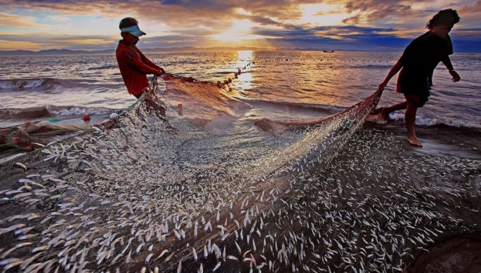 51812-282-tfsf-AvljH