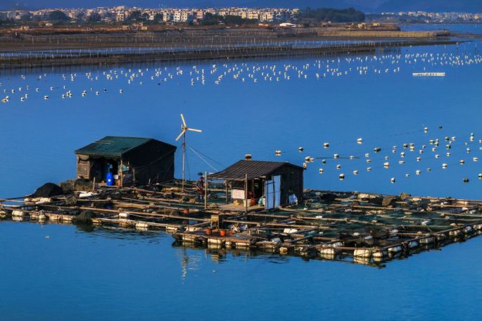 53996-282-tfsf-se2OF