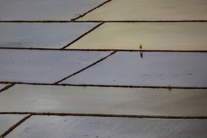 54227-282-tfsf-4YljD