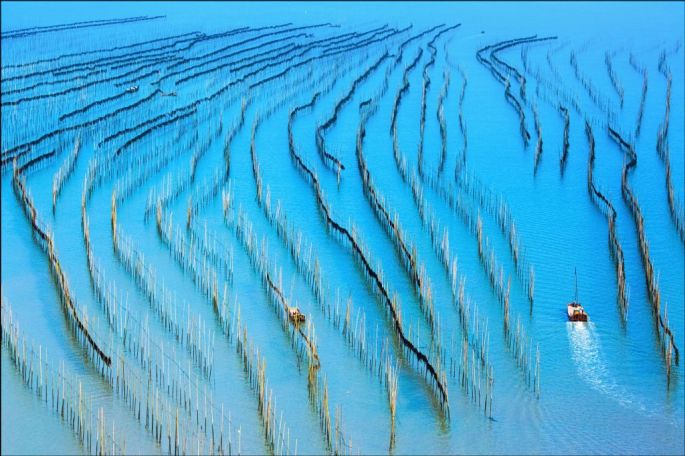 55529-282-tfsf-A1fo7