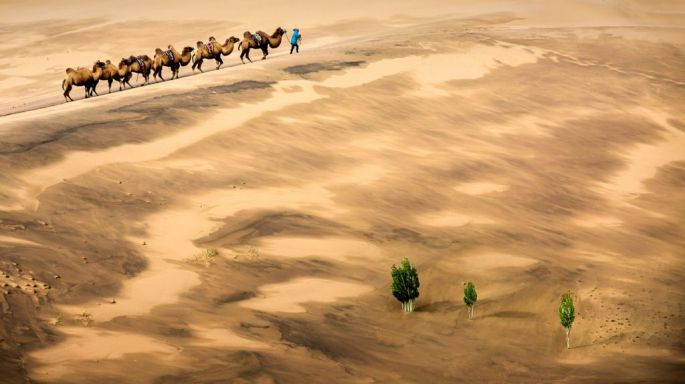 55536-282-tfsf-CzMiX