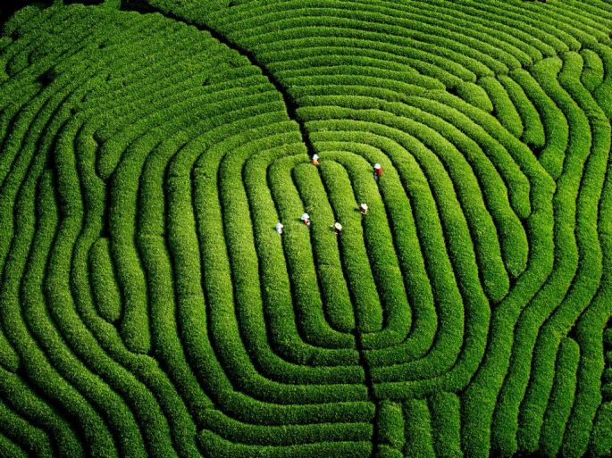 55537-282-tfsf-hjdTt