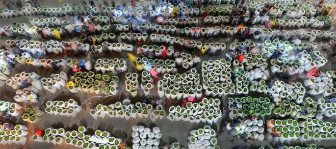 55538-282-tfsf-dlE4D