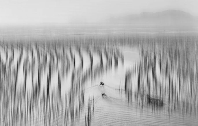 55541-282-tfsf-zbrMZ