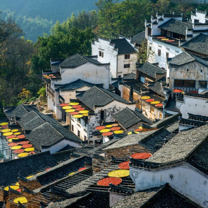 55597-282-tfsf-URgFm