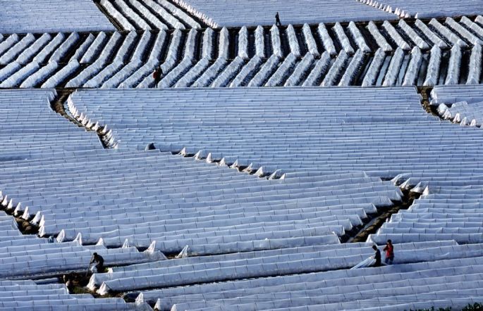 55696-282-tfsf-NGoEk