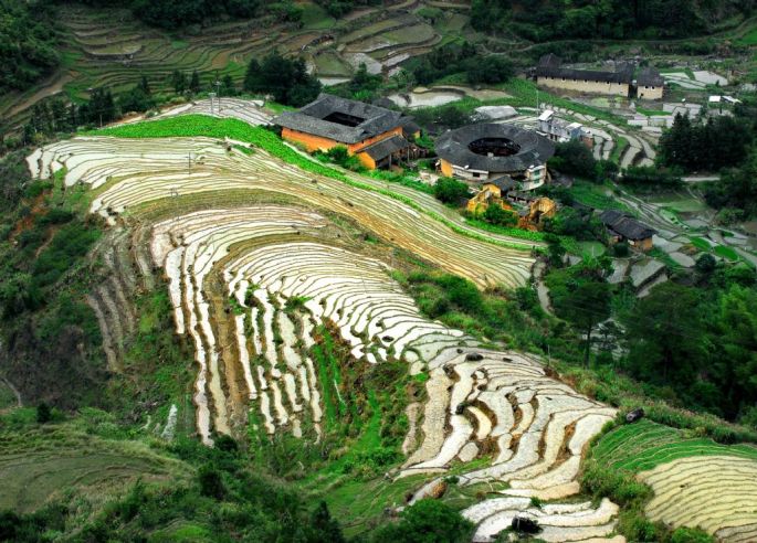 55698-282-tfsf-DmPTY