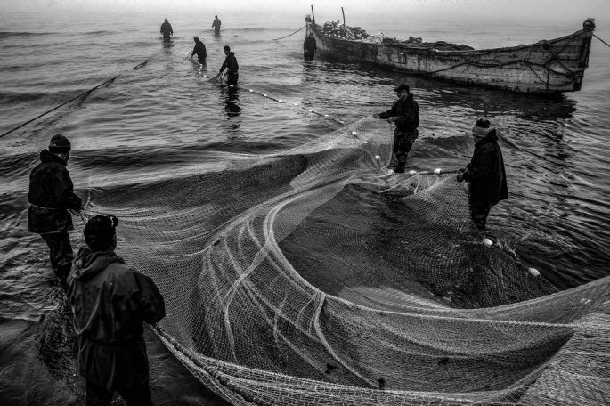 55730-282-tfsf-NOxt4