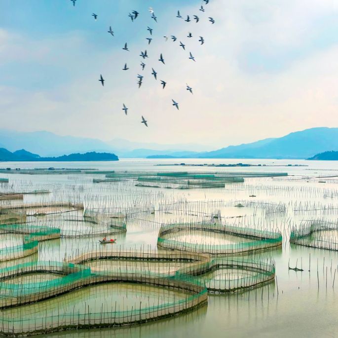 55804-282-tfsf-bzBix