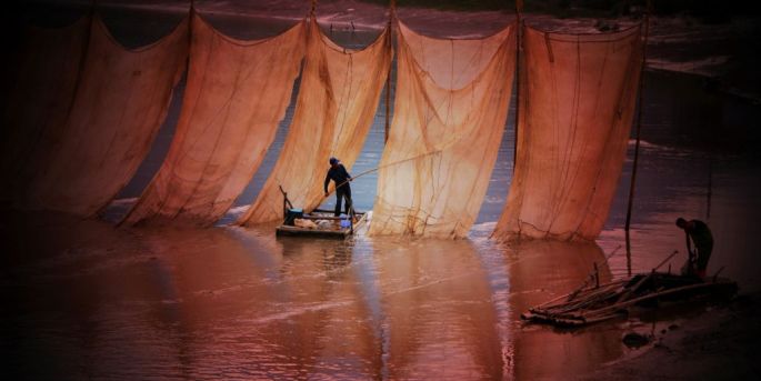 55808-282-tfsf-TPBXD