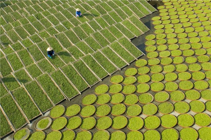 55812-282-tfsf-9DxdE