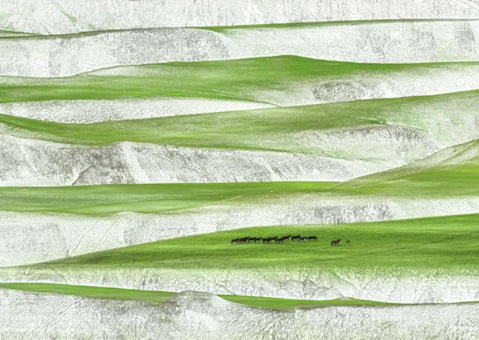 55877-282-tfsf-jbK1Z