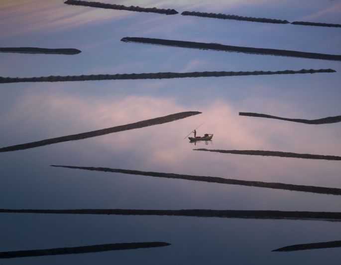 55877-282-tfsf-ZczPG