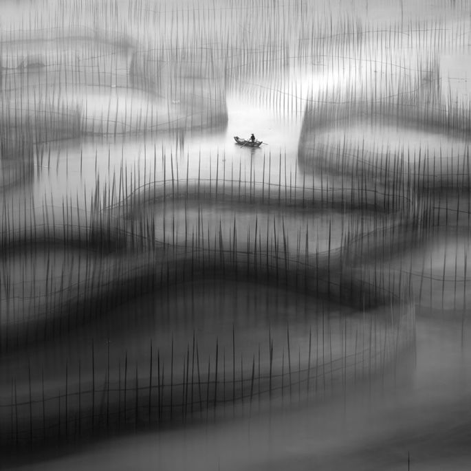 55878-282-tfsf-Sehgx