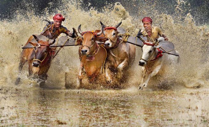 55957-305-tfsf-mTVjq