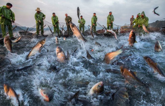 55974-282-tfsf-g6KLr