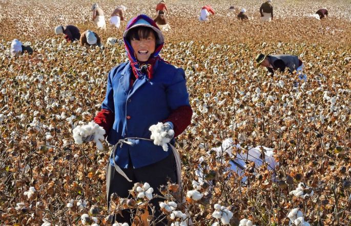 55988-282-tfsf-eZDoD