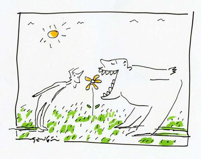 029 Muhammet Şengöz