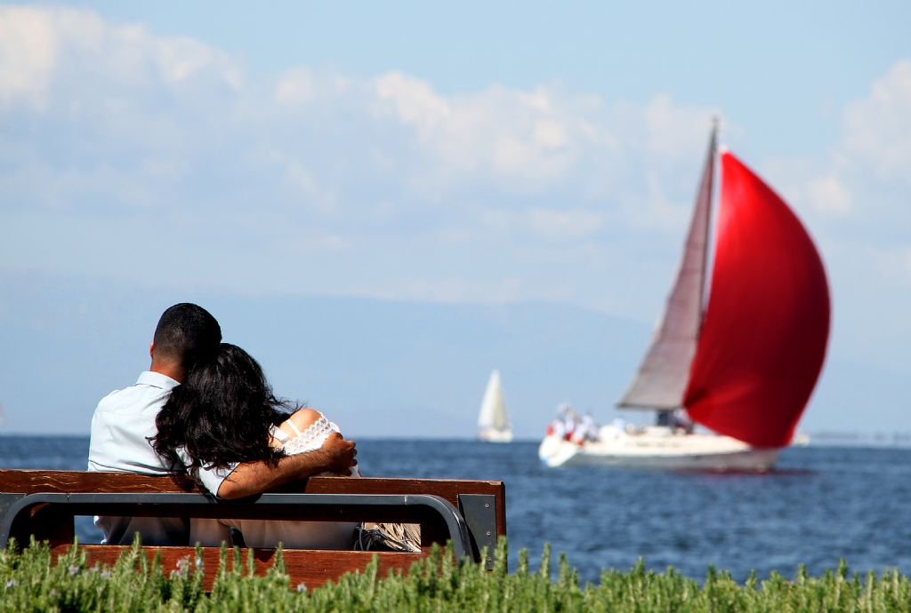 11255-320-tfsf-HCCTS