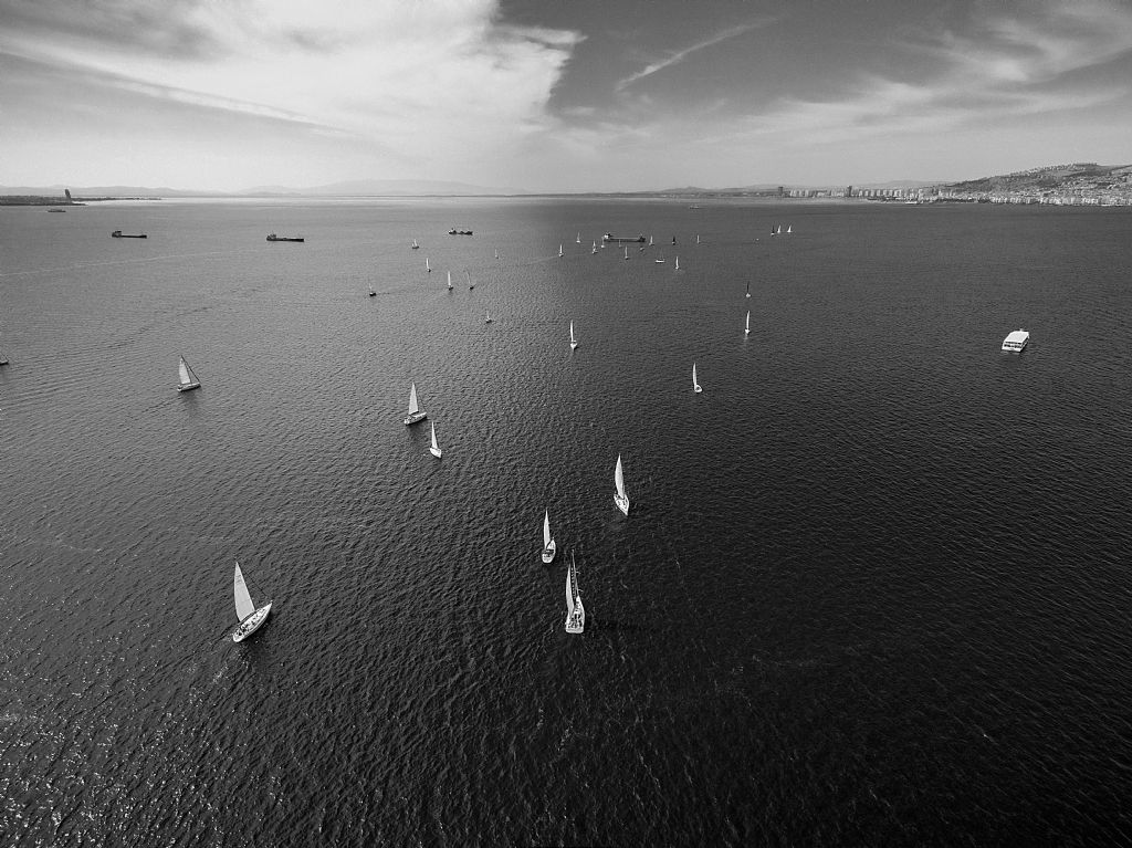 36084-320-tfsf-NPsQv