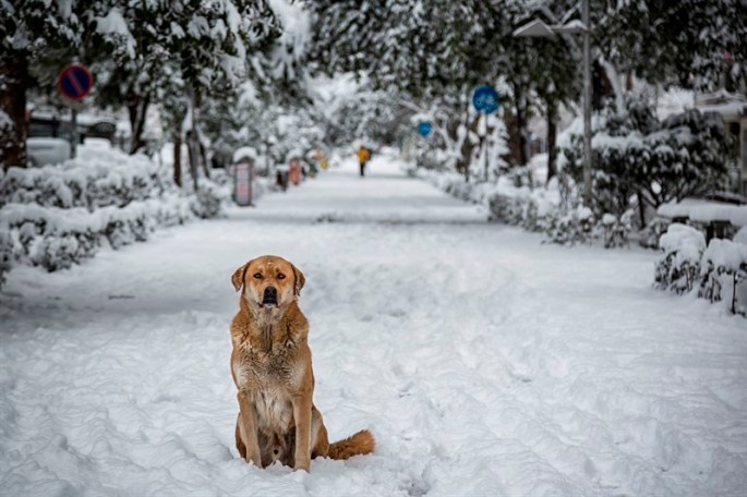 madnanteymur_800x533