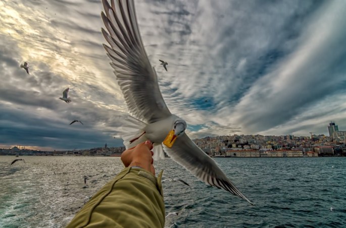 mmuratbakmaz_800x529