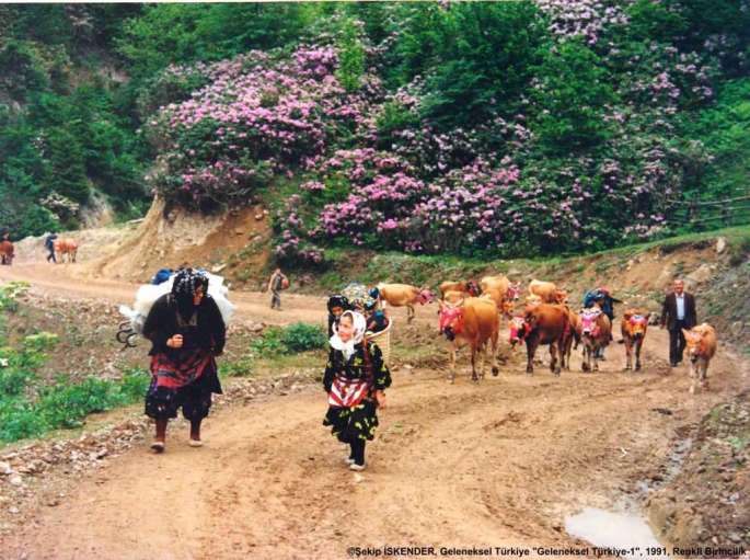 GT1FY-R-1.-YAYLAYA-CIKIS-SEKİP-İSKENDER-1024x764