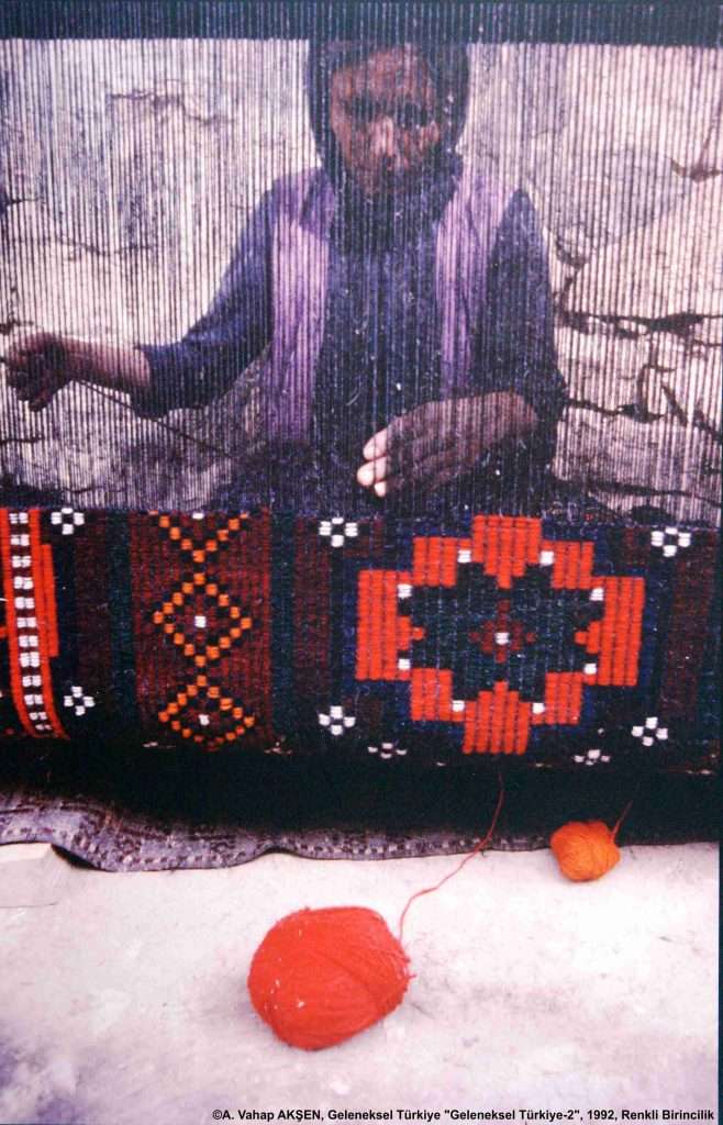 GT2FY-R-1.-RENK-VE-ILMIK-A.-VAHAP-AKSEN-658x1024