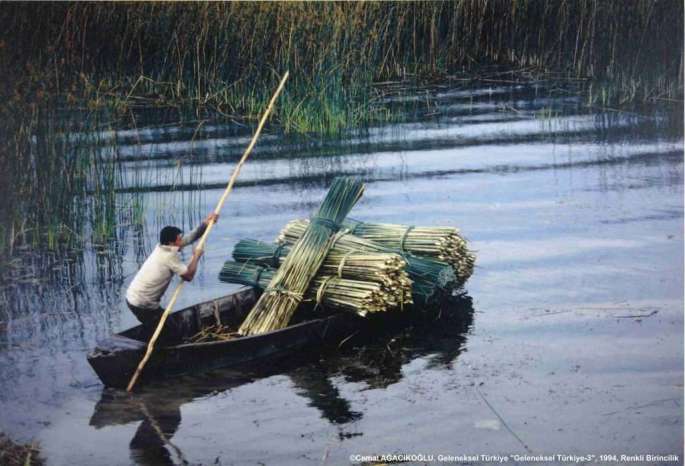 GT3FY-R-1.-MUTLU-SON-CEMAL-AGACIKOGLU-1024x698