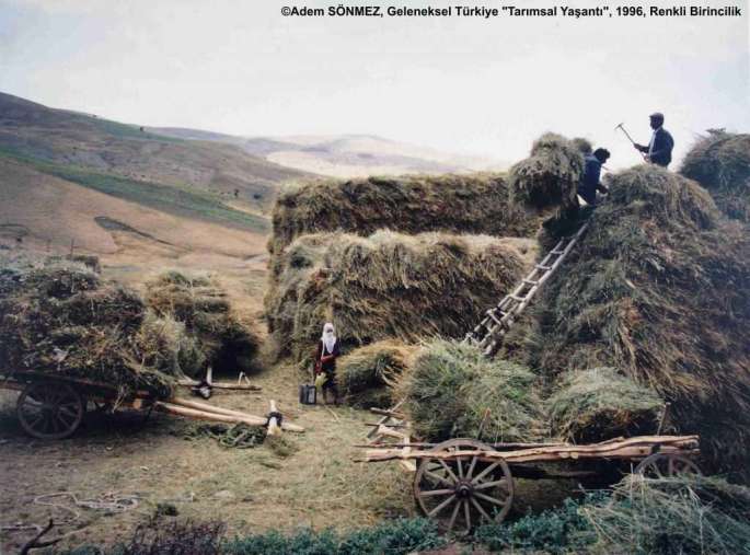 GT5FY-R-1.-LOD-ADEM-SONMEZ-1024x758