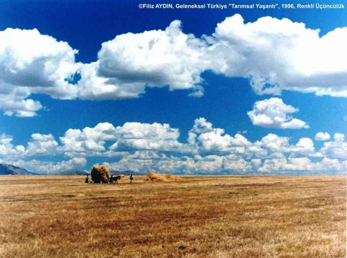 GT5FY-R-3.-DONUS-FILIZ-AYDIN-1024x762