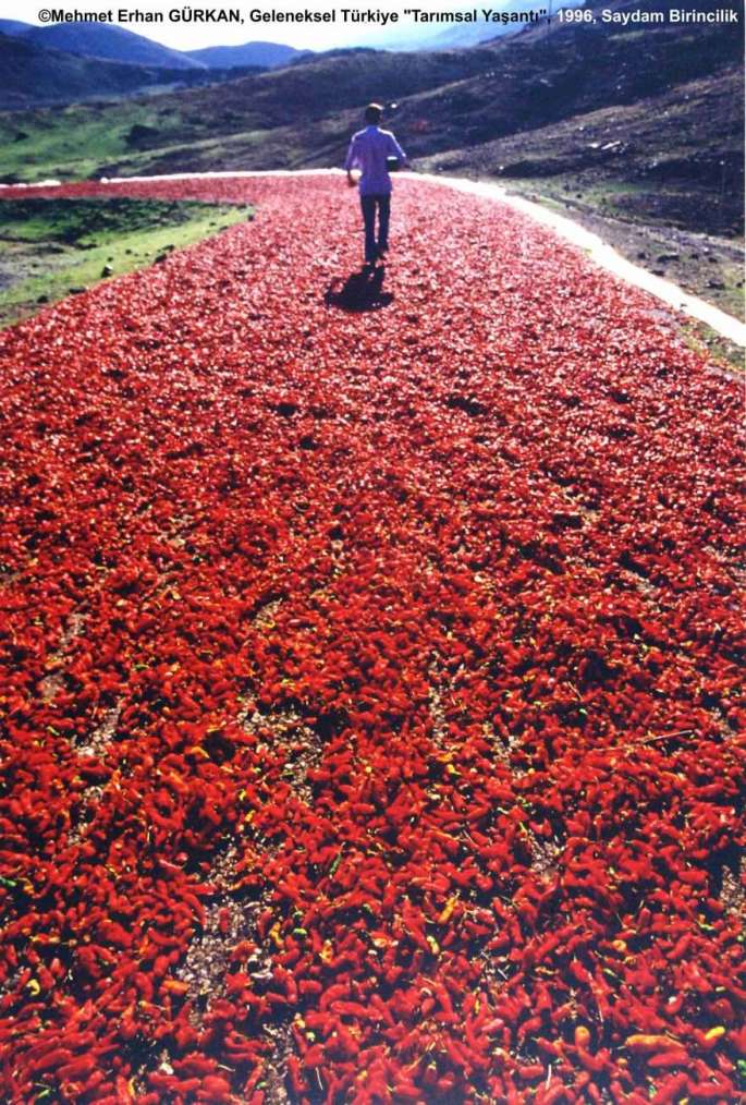 GT5FY-SAYDAM-1.-BIBER-MEHMET-ERHAN-GURKAN-880x1303