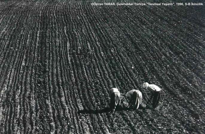 GT5FY-SB-2.-CAPA-ILE-OZCAN-TARAS-1024x674