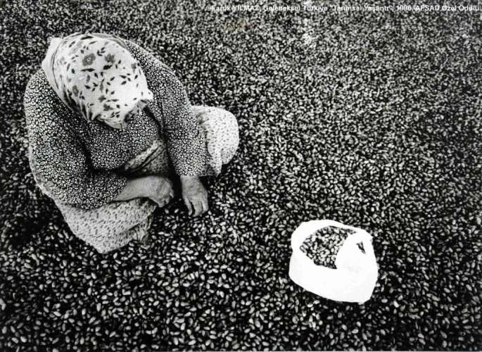 GT5FY-SB-AFSAD-ISIMSIZ-FARUK-YILMAZ-1024x748