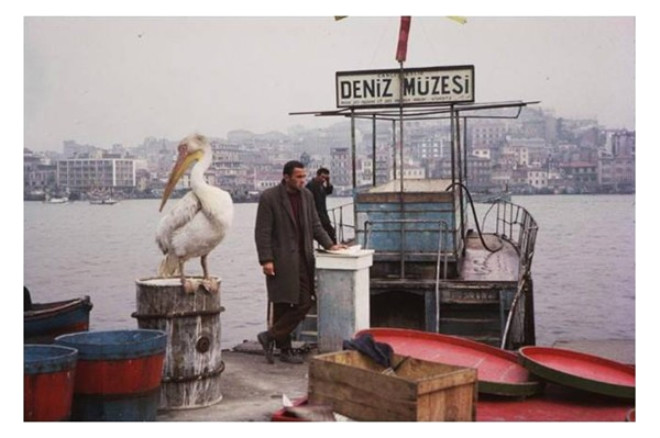 istanbul-un-1950-ve-1960-lardaki-nostaljik-710785_5014_9_b