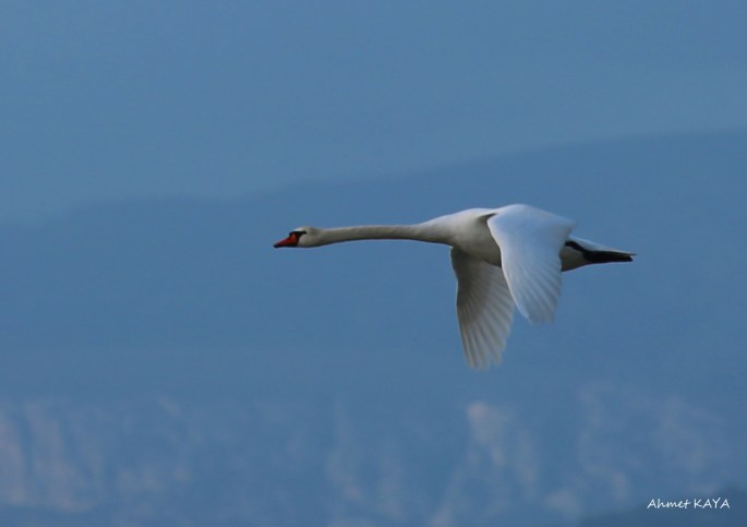 WhatsApp Image 2017-12-17 at 21.38.40