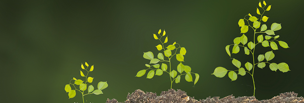 AAEAAQAAAAAAAAGzAAAAJGQ1Y2ViNWNkLTc1MjAtNGNjZC1hMTg4LWMzYjg4ZTJmMzNjYQ