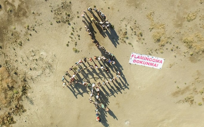 Flamingoma Dokunma 23.07.2017 001