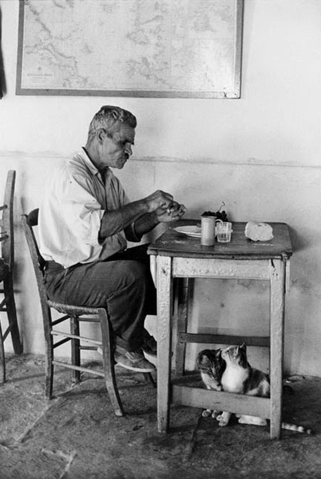 Greek Portfolio Nonbook 16