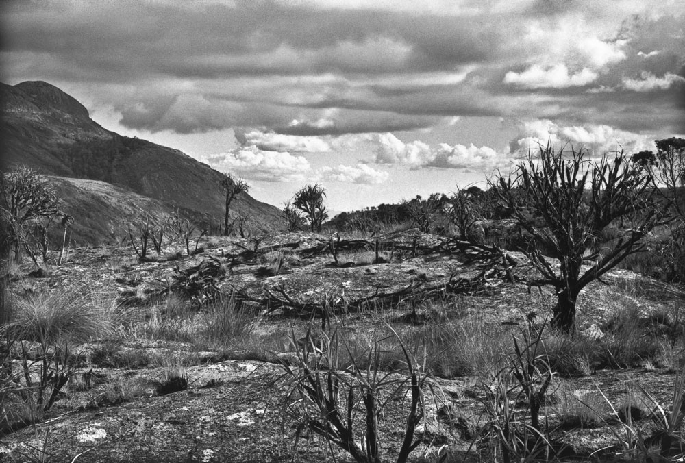 08 Circle In Africa Mulanje Mountain Malawi 1978