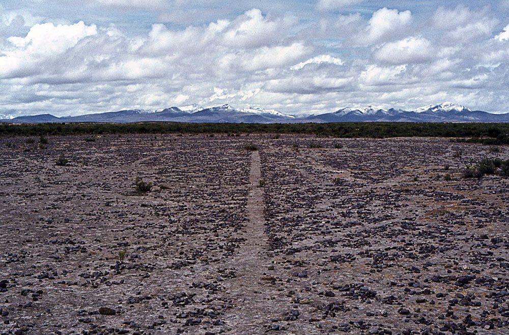 10 A Line And Tracks In Bolivia 1981