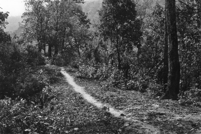 15 Brushed Path A Line In Nepal A 21 Day Footpath Walk 1983